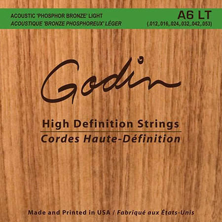Acoustic Custom Godin