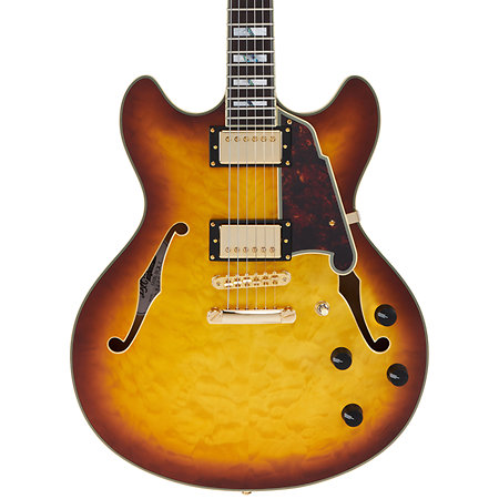 Excel DC XT Iced Tea Burst Quilt D'Angelico