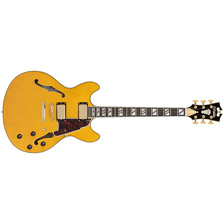 D'Angelico Excel DC Amber