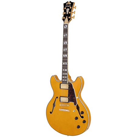Excel DC Amber D'Angelico