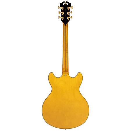 Excel DC Amber D'Angelico