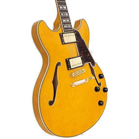 Excel DC Amber D'Angelico