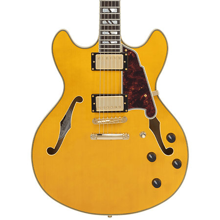 Excel DC Amber D'Angelico