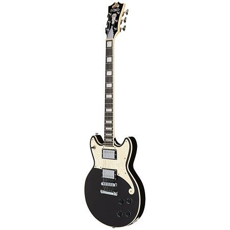 Premier Brighton Blake Flake D'Angelico