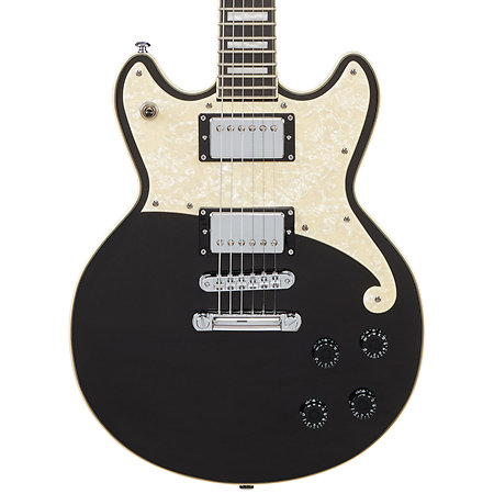 Premier Brighton Blake Flake D'Angelico