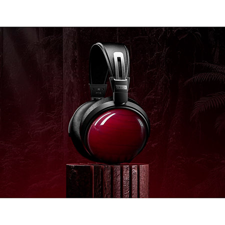 FT13 Bois de rose Fiio