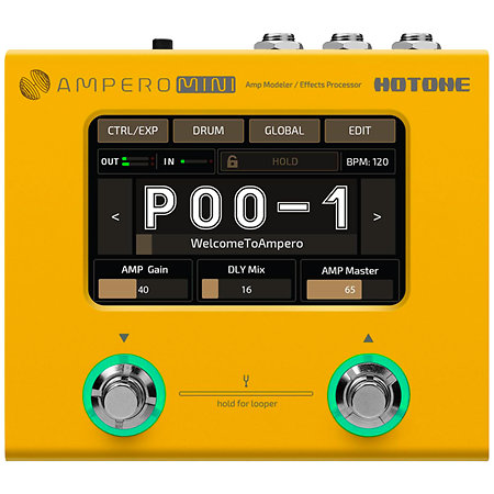 MP-50MG Ampero Mini Marigold Hotone