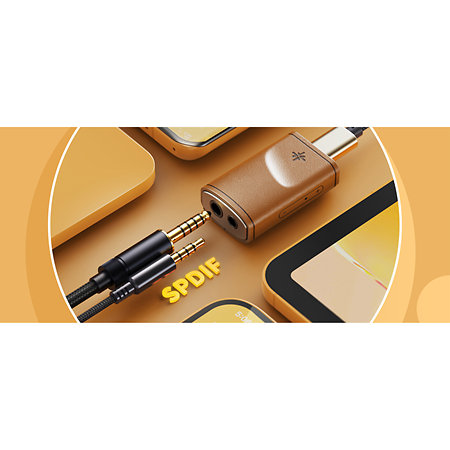 Snowsky Melody Érable Fiio