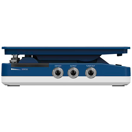 SP-21 Wong Press Hotone