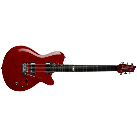 Godin DS-1 Daryl Stuermer Signature