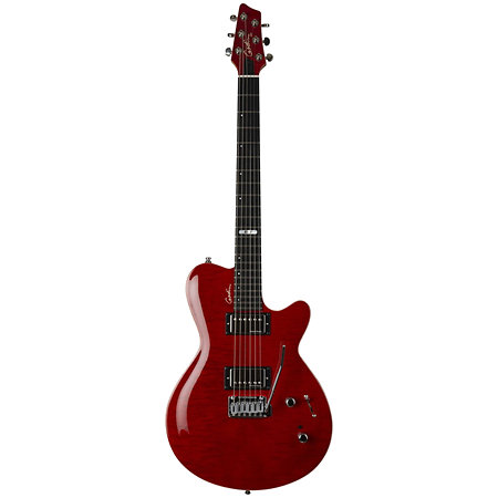 DS-1 Daryl Stuermer Signature Godin