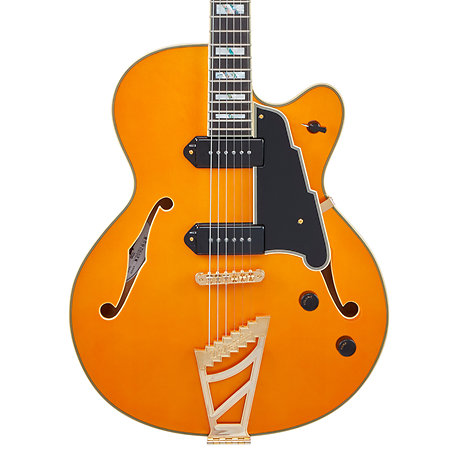 Excel 59 Vintage Natural D'Angelico