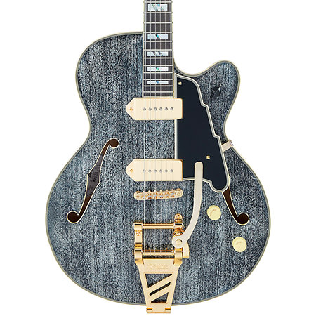 Excel 59 Black Dog D'Angelico
