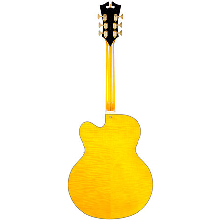 Excel EXL-1 Amber D'Angelico