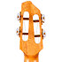 A10 MM Mango Dragon Tenor 10th Anniversary + Housse Flight