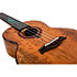 A10 MM Mango Dragon Tenor 10th Anniversary + Housse Flight