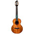 A10 MM Mango Dragon Tenor 10th Anniversary + Housse Flight