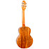 A10 MM Mango Dragon Tenor 10th Anniversary + Housse Flight