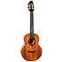 A10 MM Mango Dragon Tenor 10th Anniversary + Housse Flight