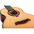 A10 SC Cocobolo Dragon Tenor 10th Anniv + Housse Flight