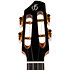 A10 SC Cocobolo Dragon Tenor 10th Anniv + Housse Flight