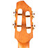A10 SC Cocobolo Dragon Tenor 10th Anniv + Housse Flight