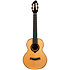 A10 SC Cocobolo Dragon Tenor 10th Anniv + Housse Flight