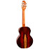 A10 SC Cocobolo Dragon Tenor 10th Anniv + Housse Flight