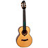 A10 SC Cocobolo Dragon Tenor 10th Anniv + Housse Flight