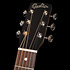 Mahogany Parlour Blackburst A/E Godin