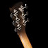 Mahogany Parlour Blackburst A/E Godin