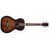 Mahogany Parlour Blackburst A/E Godin
