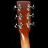 Mahogany Folk Rustic Burst A/E Godin