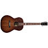 Mahogany Folk Rustic Burst A/E Godin