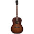 Mahogany Folk Rustic Burst A/E Godin
