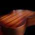 Mahogany Folk Rustic Burst A/E Godin