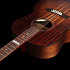 Mahogany Folk Rustic Burst A/E Godin