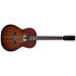 Mahogany Folk 12 A/E Godin