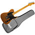 JT 30 Gold Jet Guitars