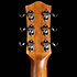 Century Mahogany Natural EQ + Housse Godin