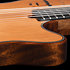 Multiac Grand Concert Mahogany Deluxe Godin