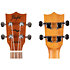 AUC-33 Cupcake Concert + Housse Flight