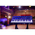 Pack TEO-5 + Cover Oberheim