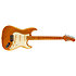 JS 300 Gold Jet Guitars