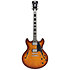 Premier DC Dark Iced Tea Burst D'Angelico