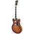 Premier DC Dark Iced Tea Burst D'Angelico