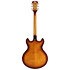 Premier DC Dark Iced Tea Burst D'Angelico