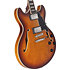 Premier DC Dark Iced Tea Burst D'Angelico