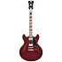 Premier DC Burnt Red D'Angelico