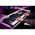 Pack FLKey 2 61 + licence FL Studio Signature Bundle Novation